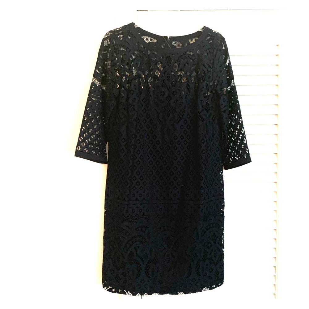 Navy Lace Dress from Loft